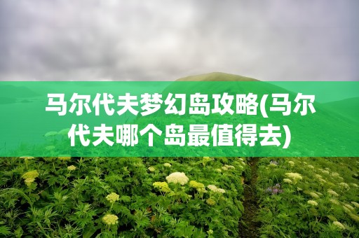 马尔代夫梦幻岛攻略(马尔代夫哪个岛最值得去)