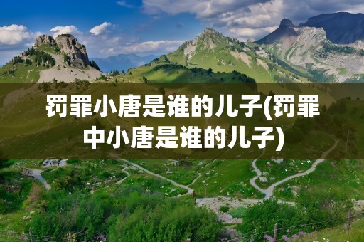 罚罪小唐是谁的儿子(罚罪中小唐是谁的儿子)