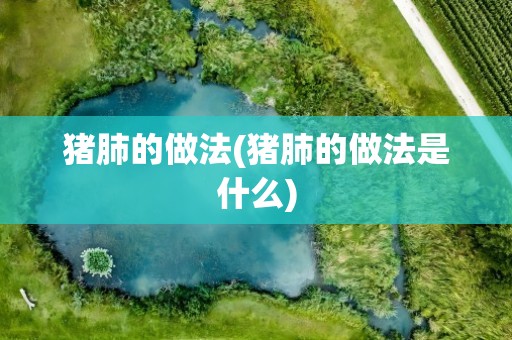 猪肺的做法(猪肺的做法是什么)