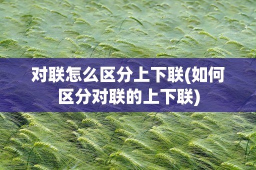对联怎么区分上下联(如何区分对联的上下联)