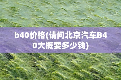 b40价格(请问北京汽车B40大概要多少钱)