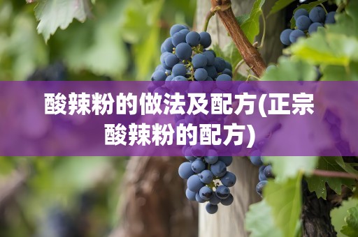 酸辣粉的做法及配方(正宗酸辣粉的配方)