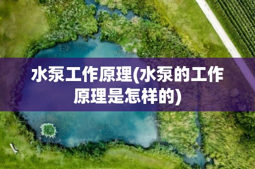 水泵工作原理(水泵的工作原理是怎样的)