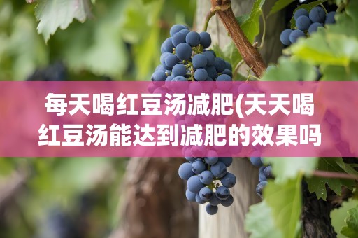 每天喝红豆汤减肥(天天喝红豆汤能达到减肥的效果吗)