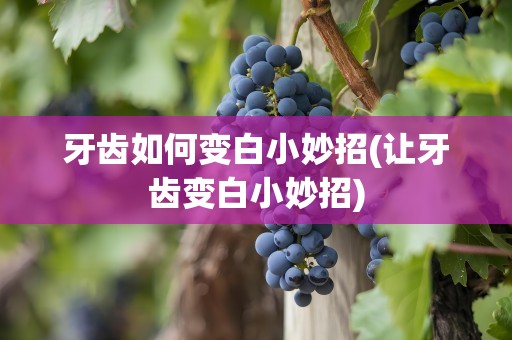 牙齿如何变白小妙招(让牙齿变白小妙招)