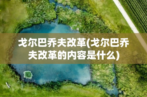 戈尔巴乔夫改革(戈尔巴乔夫改革的内容是什么)