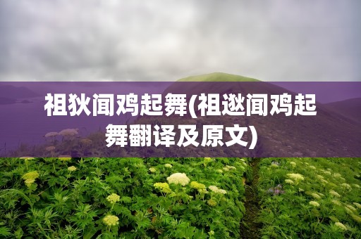祖狄闻鸡起舞(祖逖闻鸡起舞翻译及原文)