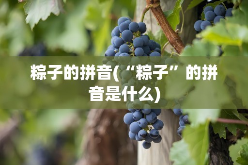 粽子的拼音(“粽子”的拼音是什么)