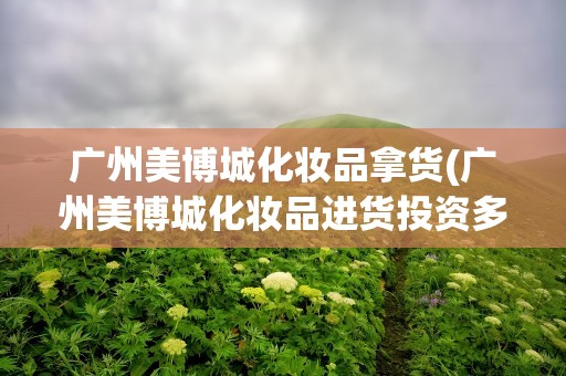 广州美博城化妆品拿货(广州美博城化妆品进货投资多少)