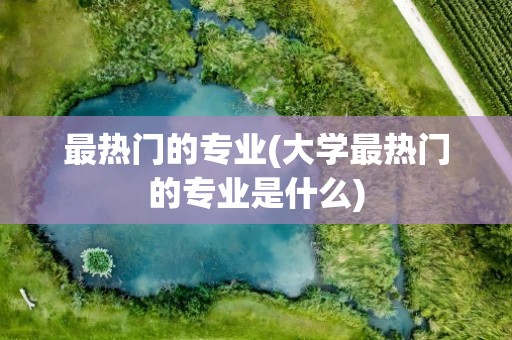 最热门的专业(大学最热门的专业是什么)