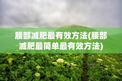 腰部减肥最有效方法(腰部减肥最简单最有效方法)