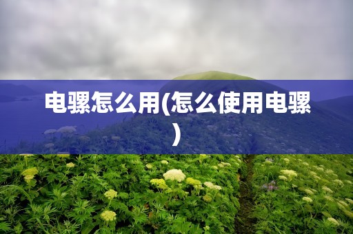 电骡怎么用(怎么使用电骡)