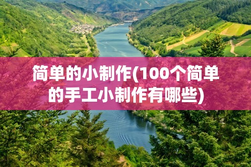 简单的小制作(100个简单的手工小制作有哪些)