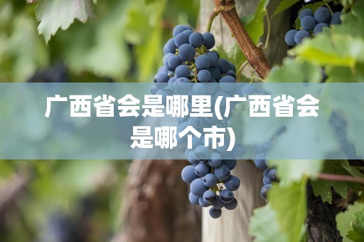 广西省会是哪里(广西省会是哪个市)