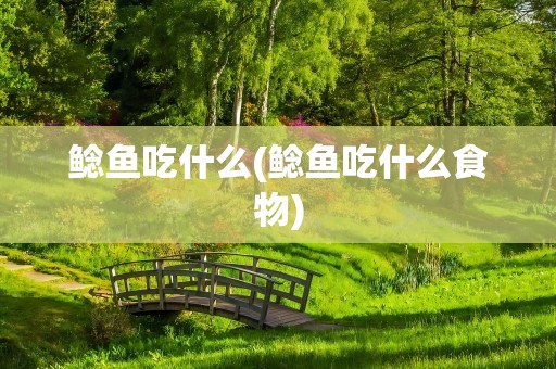 鲶鱼吃什么(鲶鱼吃什么食物)