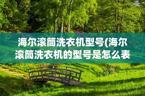 海尔滚筒洗衣机型号(海尔滚筒洗衣机的型号是怎么表示的)