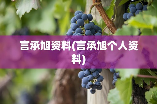 言承旭资料(言承旭个人资料)