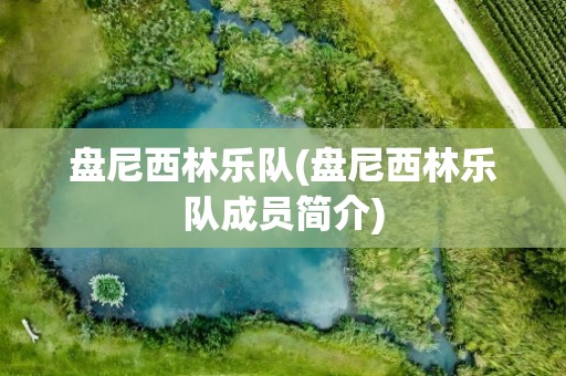 盘尼西林乐队(盘尼西林乐队成员简介)