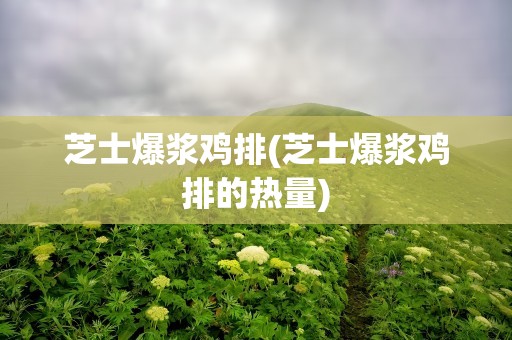 芝士爆浆鸡排(芝士爆浆鸡排的热量)
