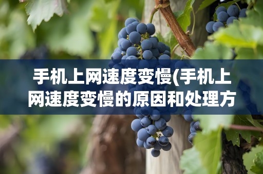 手机上网速度变慢(手机上网速度变慢的原因和处理方法)