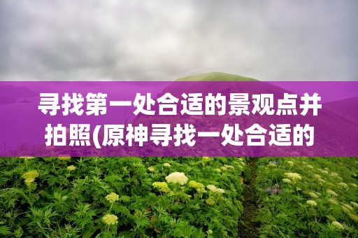 寻找第一处合适的景观点并拍照(原神寻找一处合适的景观点并拍照怎么做)