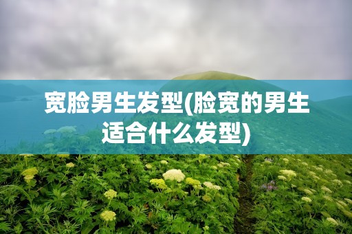 宽脸男生发型(脸宽的男生适合什么发型)