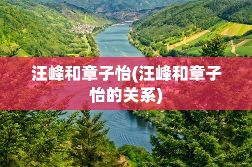 汪峰和章子怡(汪峰和章子怡的关系)