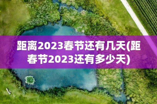 距离2023春节还有几天(距春节2023还有多少天)