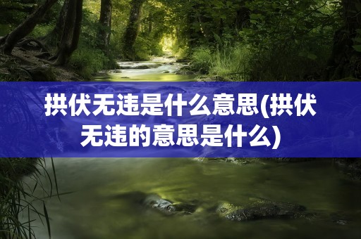 拱伏无违是什么意思(拱伏无违的意思是什么)