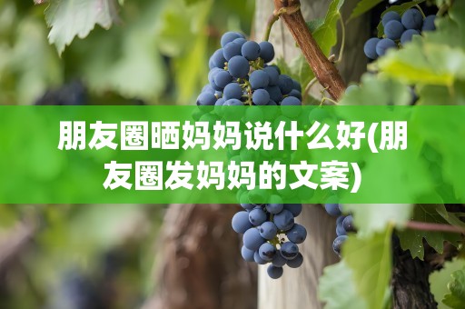 朋友圈晒妈妈说什么好(朋友圈发妈妈的文案)