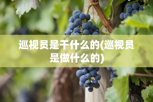 巡视员是干什么的(巡视员是做什么的)