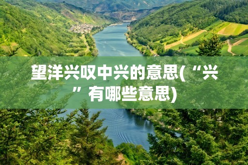 望洋兴叹中兴的意思(“兴”有哪些意思)
