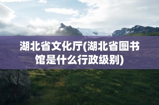 湖北省文化厅(湖北省图书馆是什么行政级别)