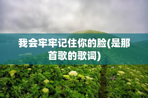 我会牢牢记住你的脸(是那首歌的歌词)