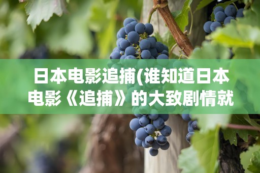 日本电影追捕(谁知道日本电影《追捕》的大致剧情就是高仓健演的那部电影)
