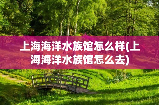 上海海洋水族馆怎么样(上海海洋水族馆怎么去)