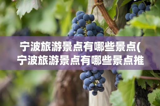 宁波旅游景点有哪些景点(宁波旅游景点有哪些景点推荐)