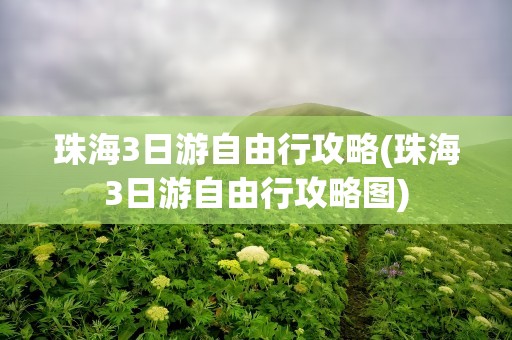 珠海3日游自由行攻略(珠海3日游自由行攻略图)