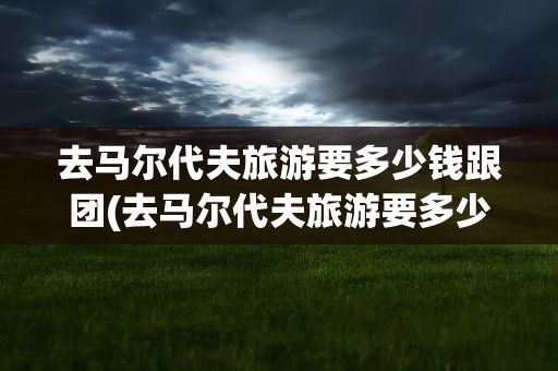 去马尔代夫旅游要多少钱跟团(去马尔代夫旅游要多少钱跟团呢)