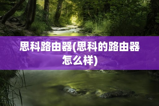 思科路由器(思科的路由器怎么样)