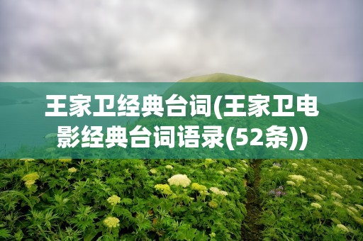 王家卫经典台词(王家卫电影经典台词语录(52条))