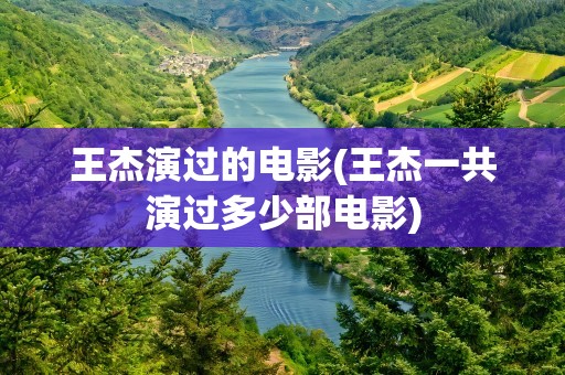 王杰演过的电影(王杰一共演过多少部电影)