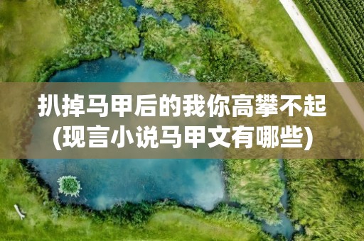 扒掉马甲后的我你高攀不起(现言小说马甲文有哪些)