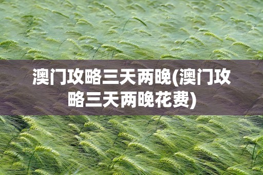 澳门攻略三天两晚(澳门攻略三天两晚花费)