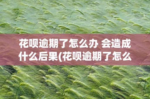 花呗逾期了怎么办 会造成什么后果(花呗逾期了怎么办会造成什么后果)