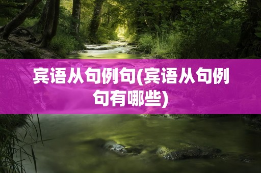 宾语从句例句(宾语从句例句有哪些)