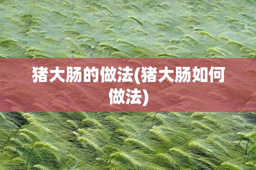 猪大肠的做法(猪大肠如何做法)
