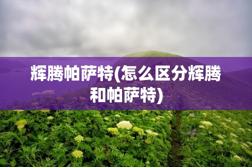 辉腾帕萨特(怎么区分辉腾和帕萨特)