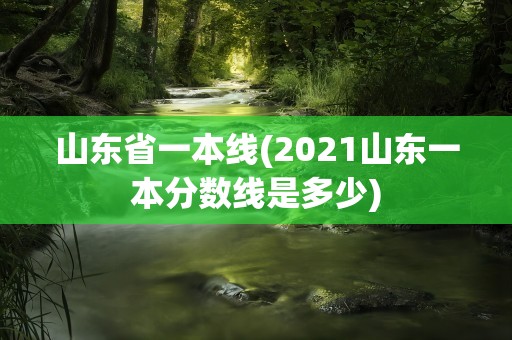 山东省一本线(2021山东一本分数线是多少)