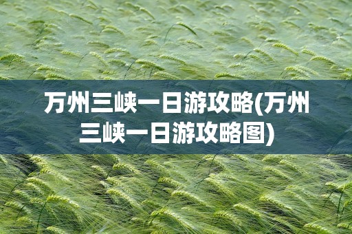 万州三峡一日游攻略(万州三峡一日游攻略图)